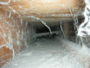 Mite_E_Ducts_Duct_Cleaning_8